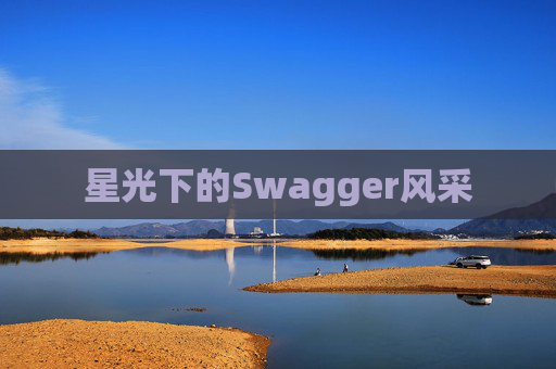 星光下的Swagger风采